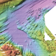 Glacial lineations. These streamlined ridges measure up to 6 miles long (10 km) and were moulded on the beds of fast-flowing glaciers. (Image courtesy British Antarctic Survey)